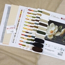 Набор для вышивания 