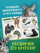 Моя большая книга о животных — фото, картинка — 3