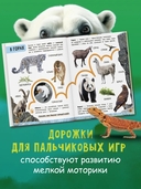 Моя большая книга о животных — фото, картинка — 4