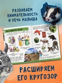 Моя большая книга о природе — фото, картинка — 3