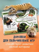 Моя большая книга о природе — фото, картинка — 4