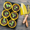 Набор горшков для рассады (9х6,8 см; 6 шт.) — фото, картинка — 2