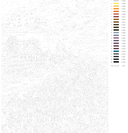 Картина по номерам 