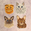 Набор для вышивания на пластиковой канве 