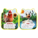 Книга с фигурной вырубкой. Домашние животные — фото, картинка — 3