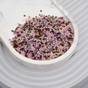 Набор бисера 10/0 