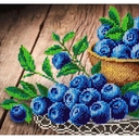 Набор для вышивания бисером 