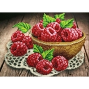 Набор для вышивания бисером 