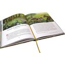 За семью горами. Сказки о гномах, эльфах и феях — фото, картинка — 3