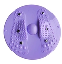 Диск здоровья (арт. AM9-ZNY) — фото, картинка — 1