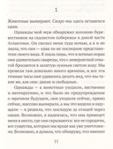 Миграции — фото, картинка — 2