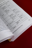 История Древнего мира. От первых империй до падения Рима — фото, картинка — 5