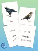 Раздаточные карточки. Перелетные птицы — фото, картинка — 3