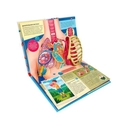 Анатомия — фото, картинка — 1