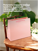 Пакет бумажный подарочный 