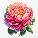 Набор для вышивания 