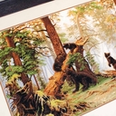 Набор для вышивания 