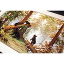 Набор для вышивания 