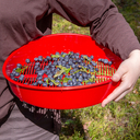 Сито для просеивания и переборки ягод 