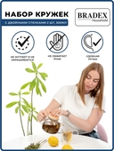 Набор кружек 