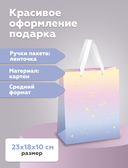 Пакет бумажный подарочный 