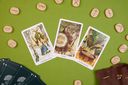 The Wildwood Tarot. Таро Дикого леса (78 карт карт и руководство в подарочном футляре) — фото, картинка — 16