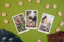 The Wildwood Tarot. Таро Дикого леса (78 карт карт и руководство в подарочном футляре) — фото, картинка — 2