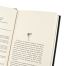 Падре — фото, картинка — 7