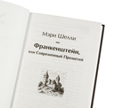 Франкенштейн, или Современный Прометей — фото, картинка — 6