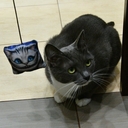 Игрушка для кошек 