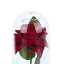 Светильник декоративный 