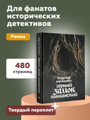 Черный замок Ольшанский — фото, картинка — 3