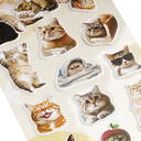 Наклейки объемные 