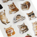 Наклейки объемные 