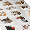 Наклейки объемные 