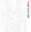 Картина по номерам 