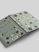 Песня жаворонка — фото, картинка — 2