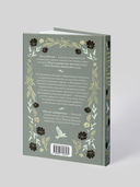 Песня жаворонка — фото, картинка — 3