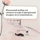 Хроники странствующего кота — фото, картинка — 5