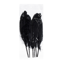 Перо декоративное обработанное 