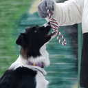 Игрушка-грейфер для собак 