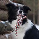 Игрушка-грейфер для собак 