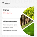 Парфюмерное масло унисекс 