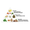 Парфюмерная вода унисекс 