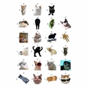 Набор виниловых наклеек 