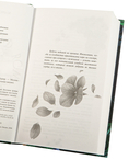 Моя фиалковая ведьма — фото, картинка — 9