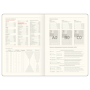 Ежедневник датированный на 2026 год 