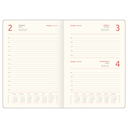 Ежедневник датированный на 2026 год 