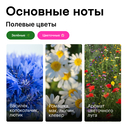 Парфюмерное масло унисекс 