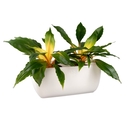 Ящик балконный 